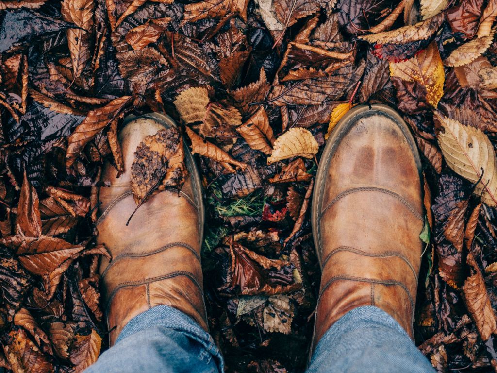 Cultural Autumn in Padron, with the Hotel Scala Group